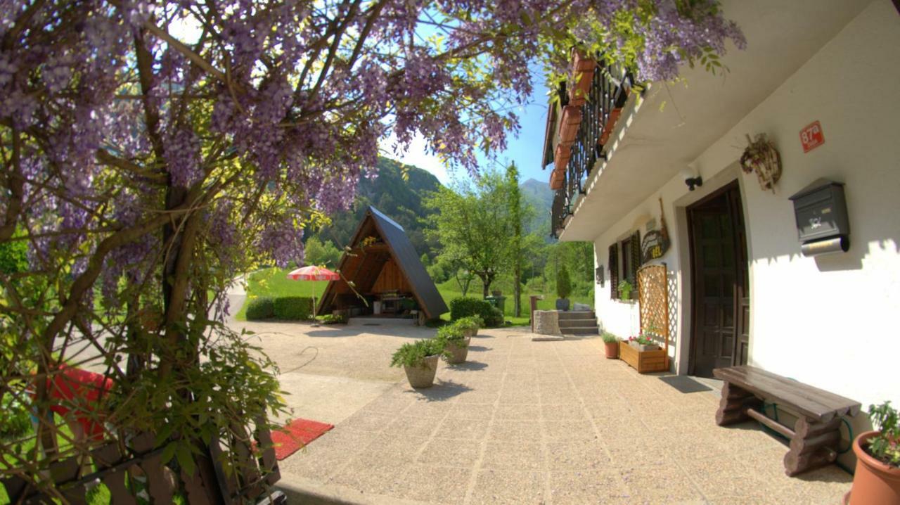 Apartma Bel Zaga Exterior foto